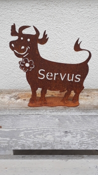 Deko Spaß Kuh mit der Schrift Servus ein wahrer Blickfang 25x25 cm